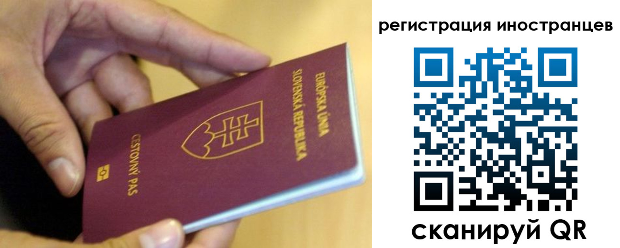 временная регистрация для школы в Владивостоке